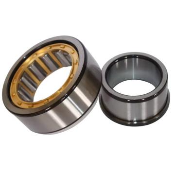 0.75 Inch | 19.05 Millimeter x 1.375 Inch | 34.925 Millimeter x 1.25 Inch | 31.75 Millimeter  CONSOLIDATED BEARING 95320  Cylindrical Roller Bearings