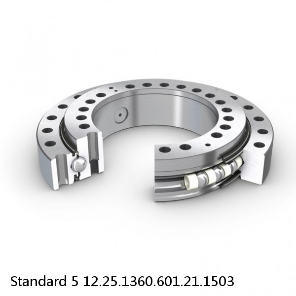 12.25.1360.601.21.1503 Standard 5 Slewing Ring Bearings