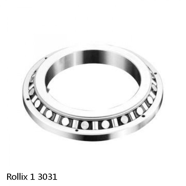 1 3031 Rollix Slewing Ring Bearings