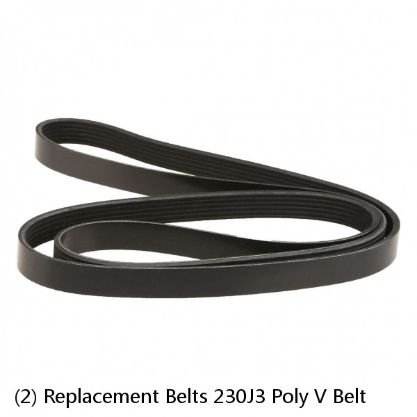 (2) Replacement Belts 230J3 Poly V Belt