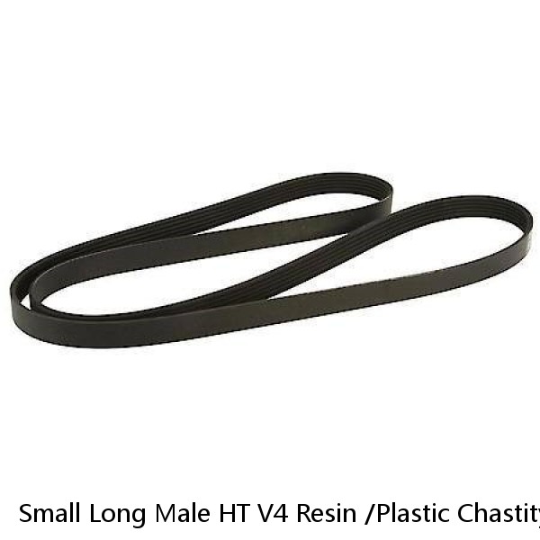 Small Long Male HT V4 Resin /Plastic Chastity Cage Device Belt Lock Ring BDSM US
