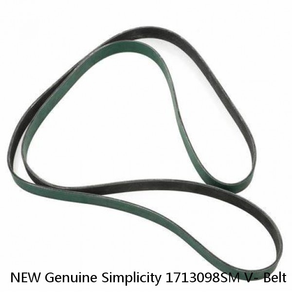 NEW Genuine Simplicity 1713098SM V- Belt PULLEY 1