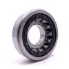 0.669 Inch | 17 Millimeter x 1.85 Inch | 47 Millimeter x 0.551 Inch | 14 Millimeter  CONSOLIDATED BEARING NUP-303  Cylindrical Roller Bearings #1 small image