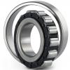 0.669 Inch | 17 Millimeter x 1.85 Inch | 47 Millimeter x 0.551 Inch | 14 Millimeter  CONSOLIDATED BEARING NUP-303  Cylindrical Roller Bearings