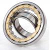 0.669 Inch | 17 Millimeter x 1.85 Inch | 47 Millimeter x 0.551 Inch | 14 Millimeter  CONSOLIDATED BEARING NUP-303  Cylindrical Roller Bearings #2 small image