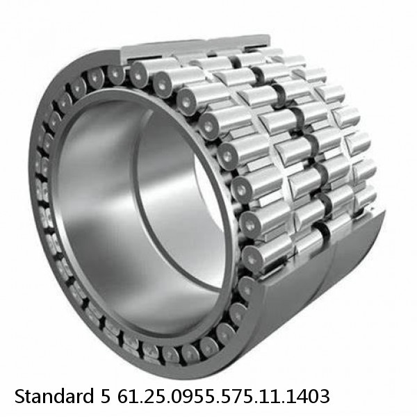 61.25.0955.575.11.1403 Standard 5 Slewing Ring Bearings