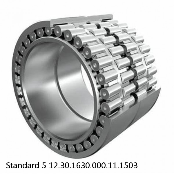 12.30.1630.000.11.1503 Standard 5 Slewing Ring Bearings #1 small image
