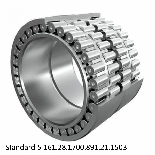 161.28.1700.891.21.1503 Standard 5 Slewing Ring Bearings #1 small image