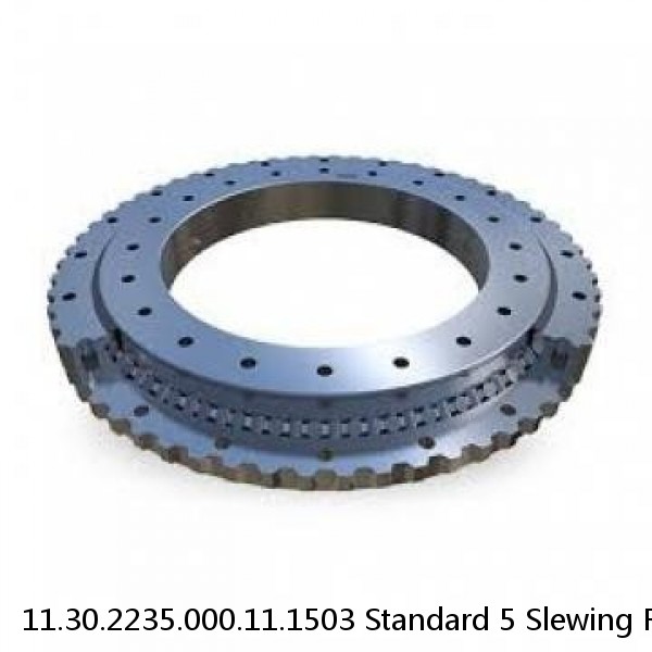 11.30.2235.000.11.1503 Standard 5 Slewing Ring Bearings #1 small image