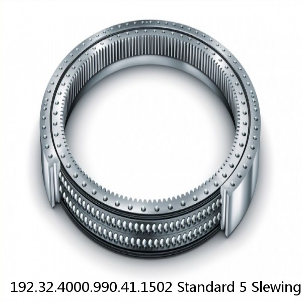 192.32.4000.990.41.1502 Standard 5 Slewing Ring Bearings #1 small image