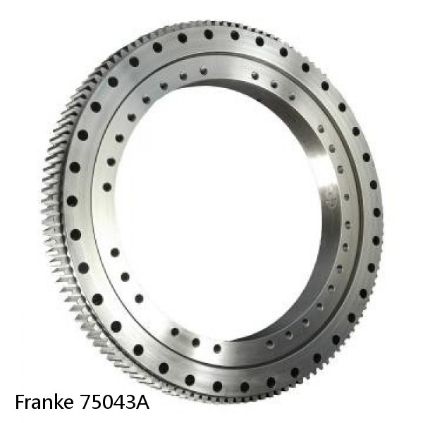 75043A Franke Slewing Ring Bearings