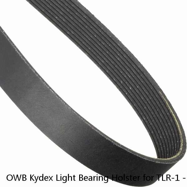 OWB Kydex Light Bearing Holster for TLR-1 - 50 Different Gun Models - Black #1 small image