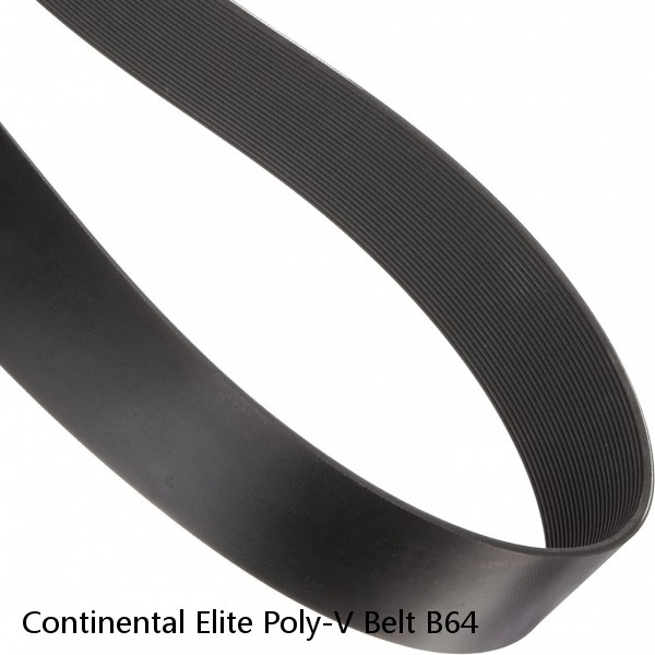 Continental Elite Poly-V Belt B64 #1 small image
