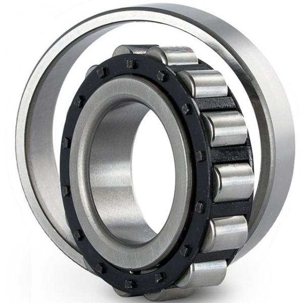 0.787 Inch | 20 Millimeter x 1.654 Inch | 42 Millimeter x 1.181 Inch | 30 Millimeter  CONSOLIDATED BEARING NNF-5004A-DA2RSV  Cylindrical Roller Bearings #5 image