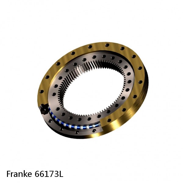 66173L Franke Slewing Ring Bearings #1 image
