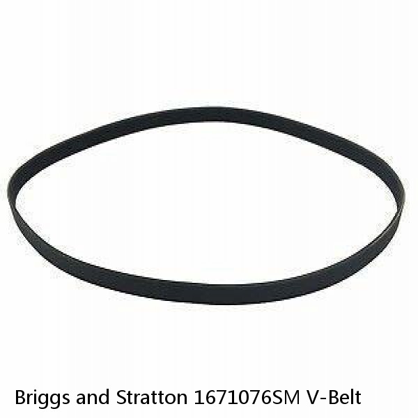 Briggs and Stratton 1671076SM V-Belt #1 image